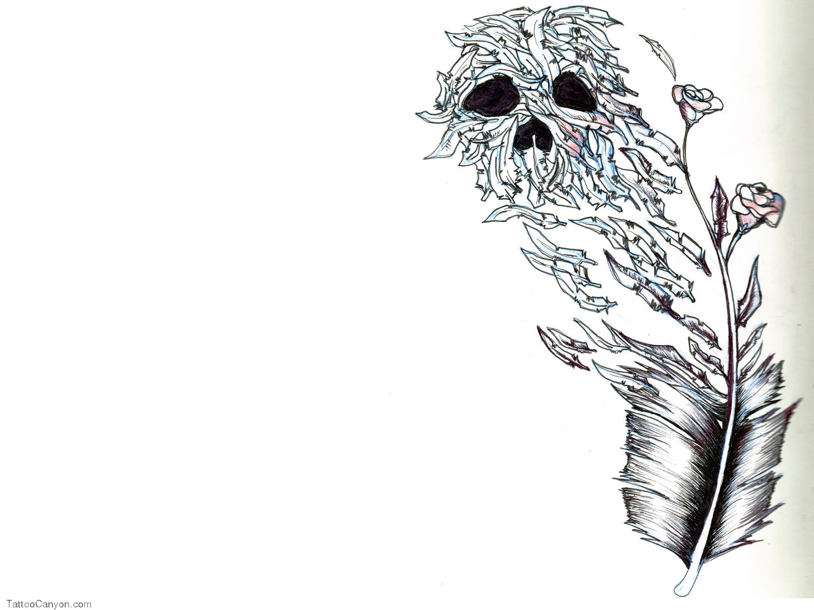 Designs Feather And Skull Tattoo Wallpaper Design