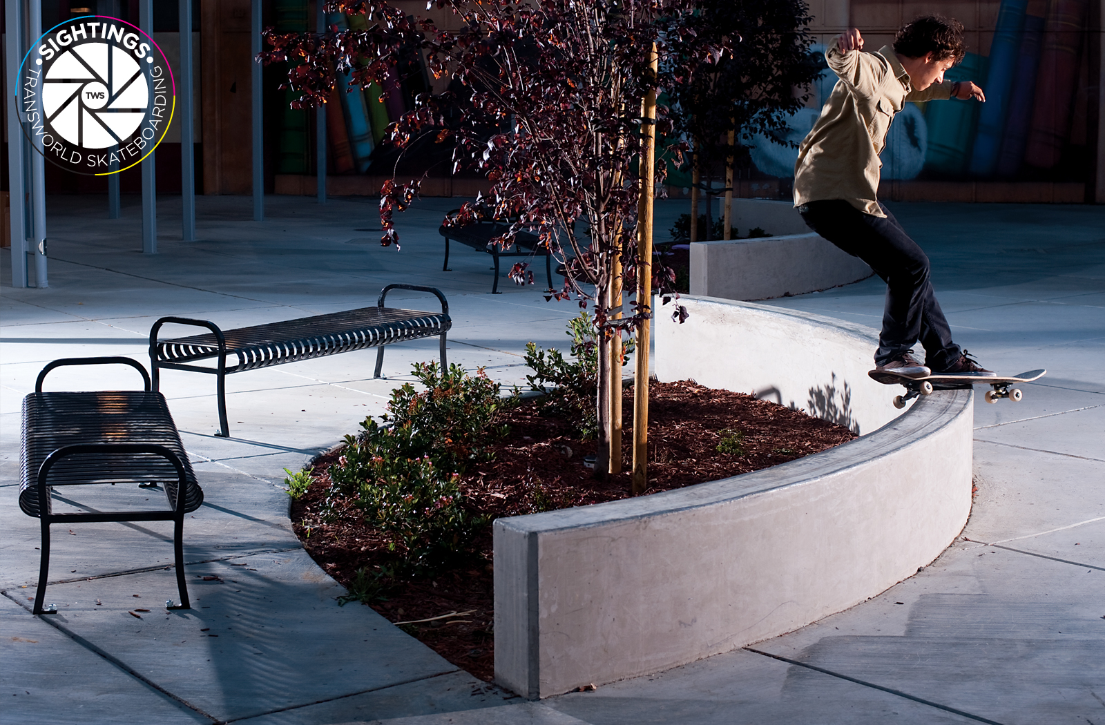 Wednesday Wallpaper Austyn Gillette Transworld Skateboarding