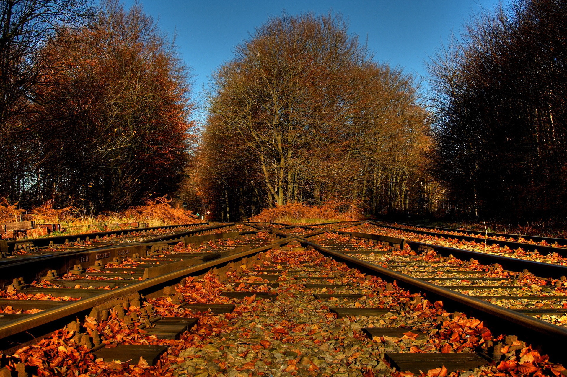 Trees Foliage Leaves Railroad Tracks Crossing Road Autumn Wallpaper