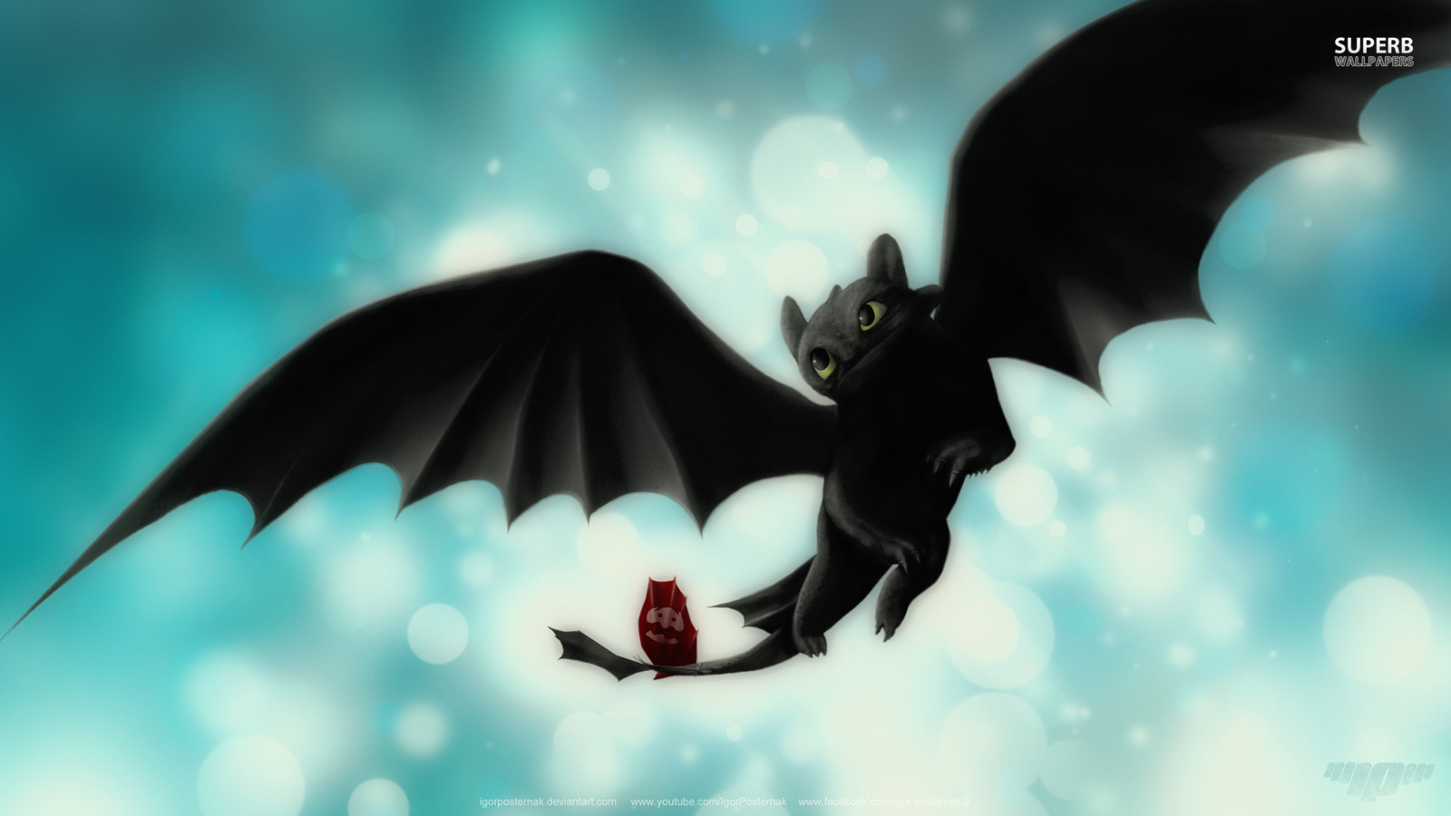 Toothless Dragons Wallpaper