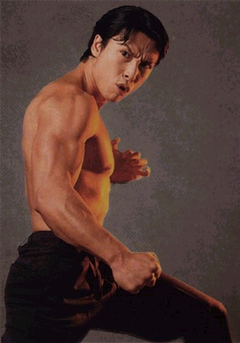 Donnie Yen Gallery Colection Image Website Cool