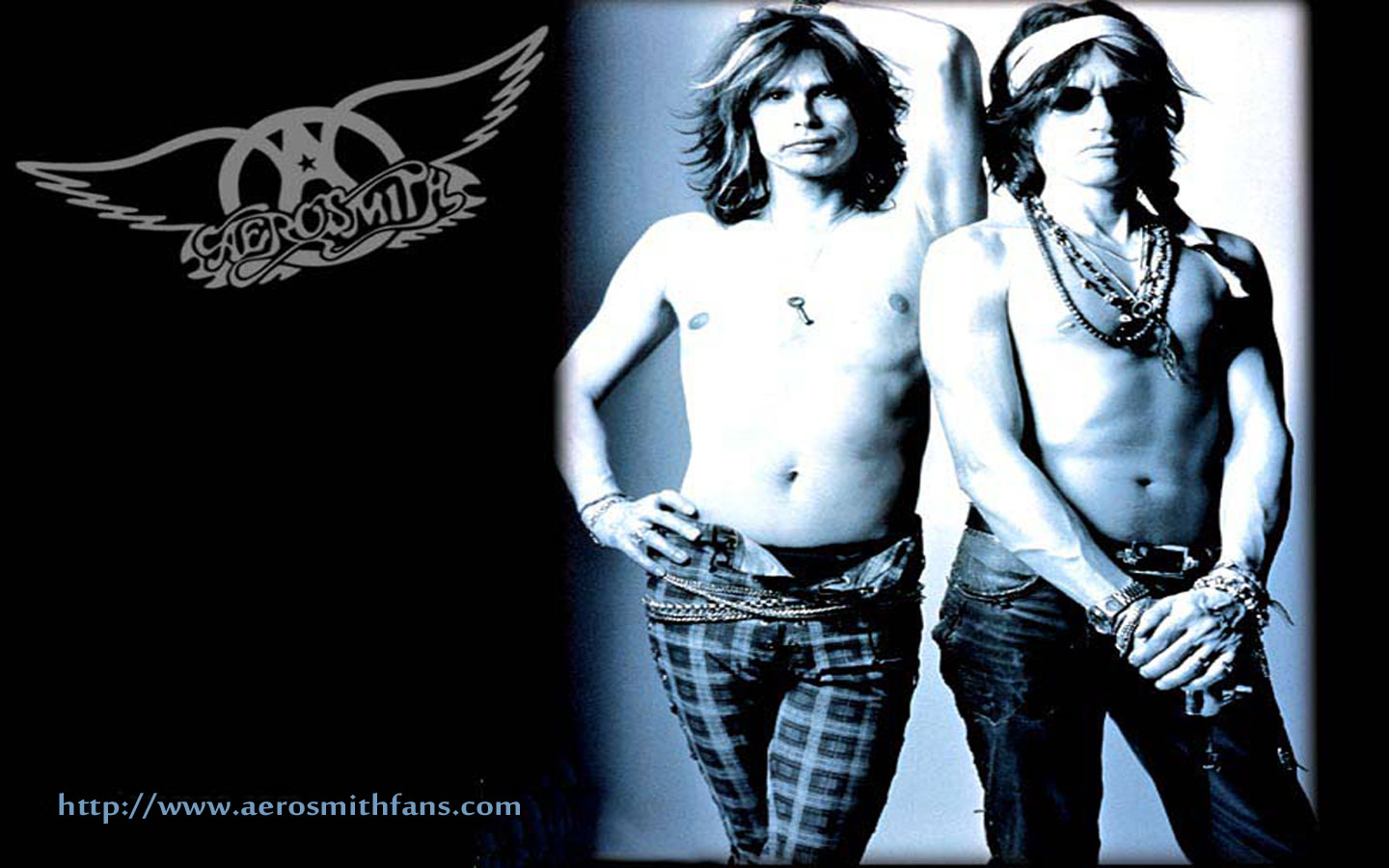 Aerosmith Fans Wallpaper
