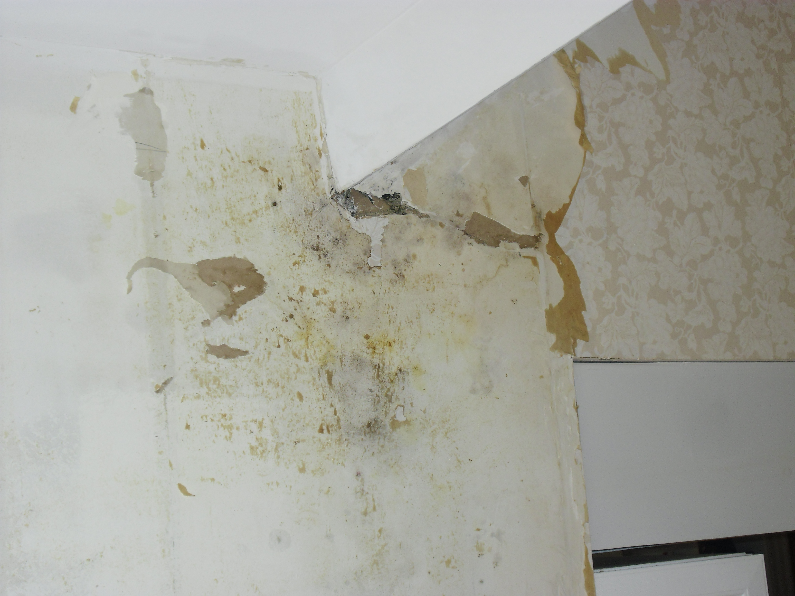 How To Cover Wallpaper Damage Walls How To Remove Wallpaper The Best