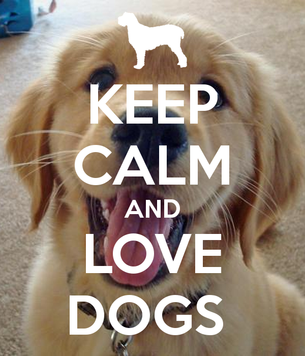 I Love Dogs Wallpaper - WallpaperSafari