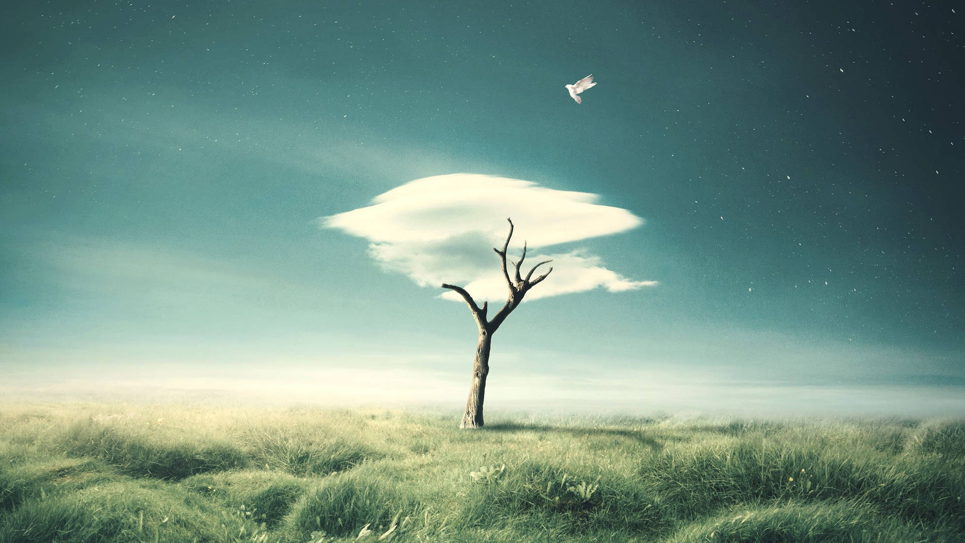 Top Photoshop HD Wallpaper Full 4k To Use