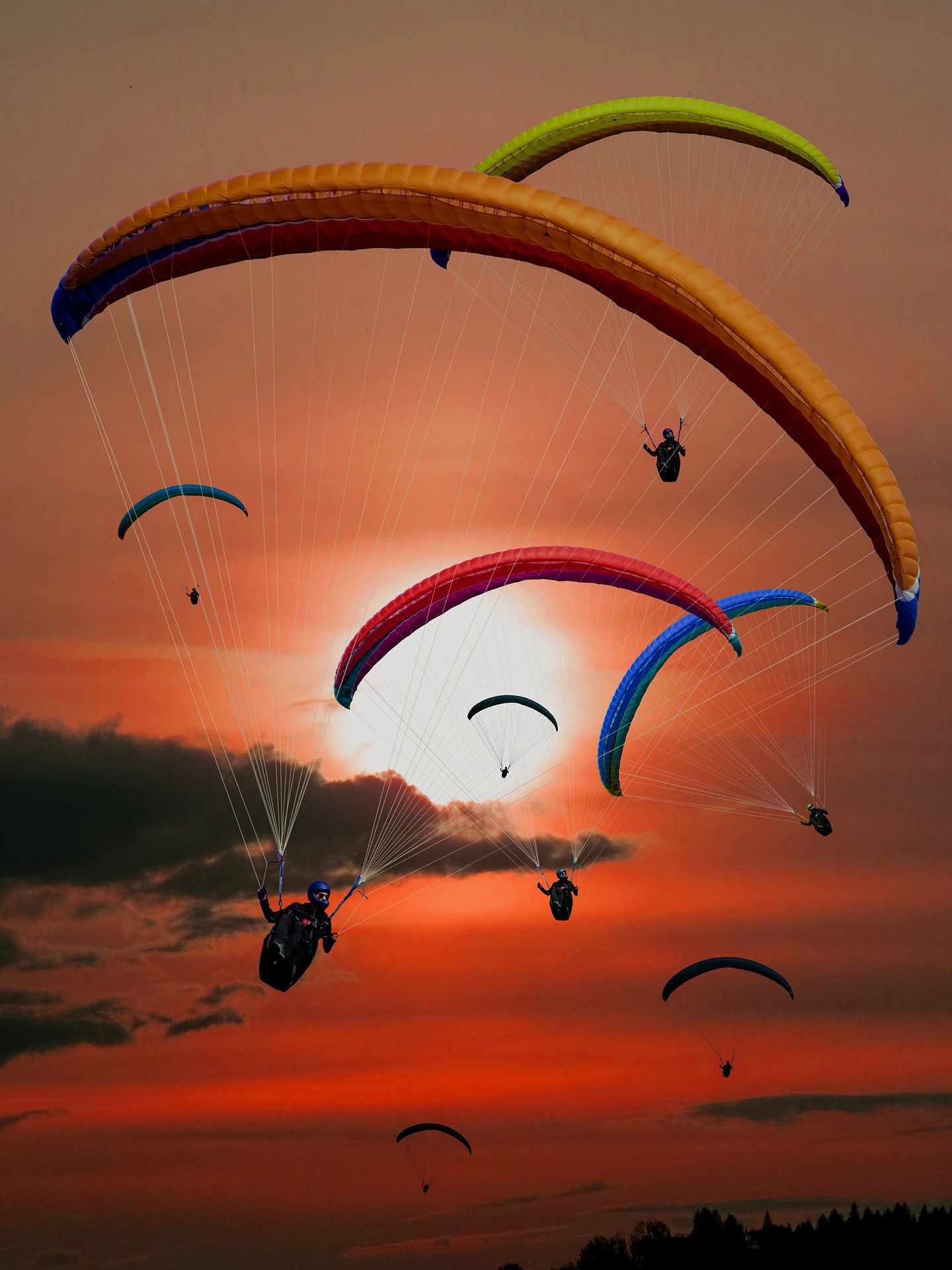 Gerald Hopster On Artsy Skydiving Hang Gliding Sports