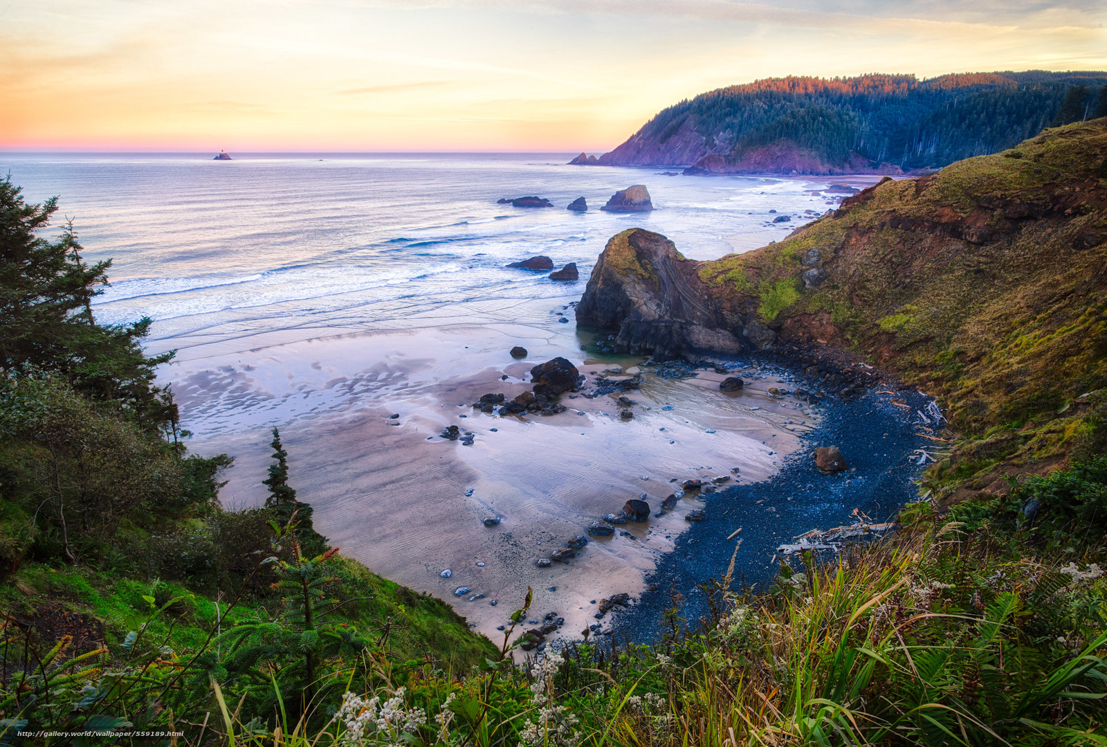 Download wallpaper Oregon Coast Ecola State Park landscape free
