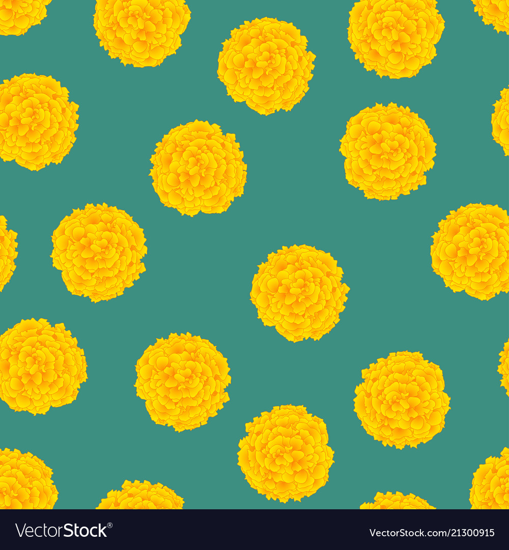 Yellow Marigold On Green Background Royalty Vector