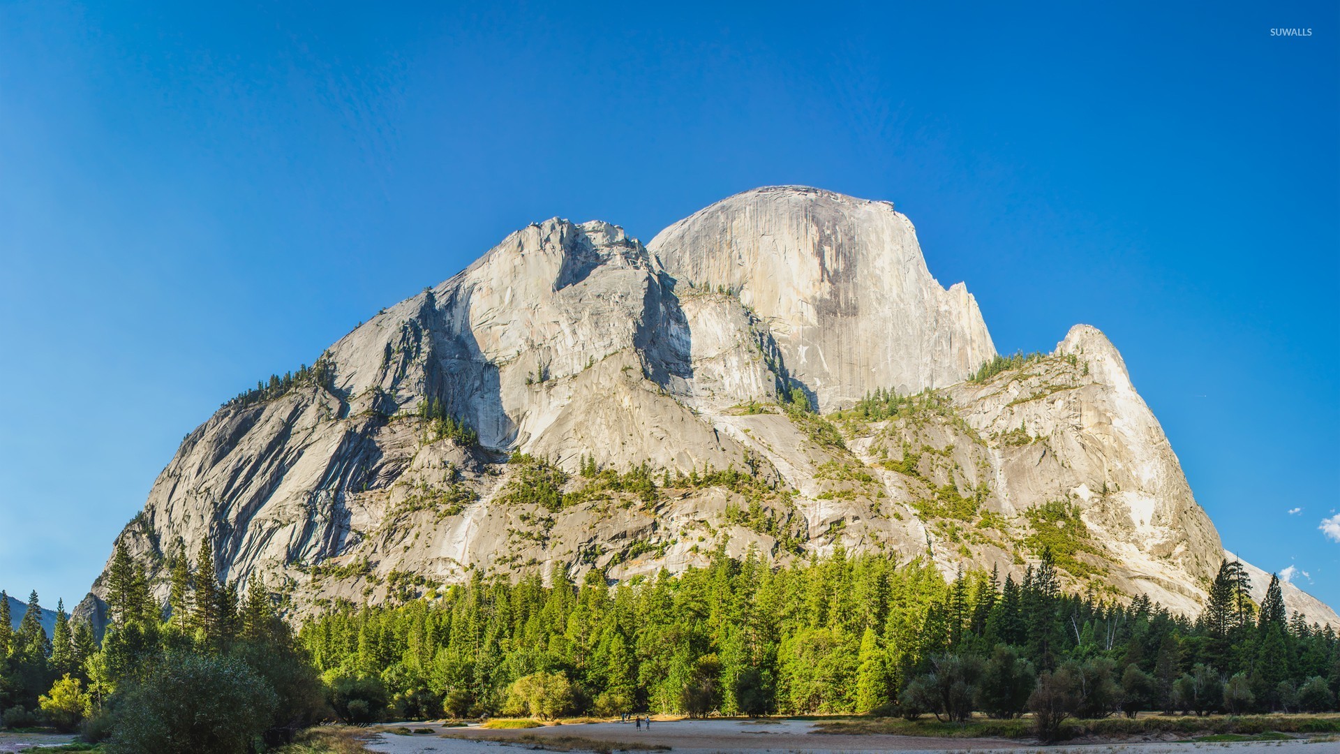 Half Dome Yosemite National Park Wallpaper Nature