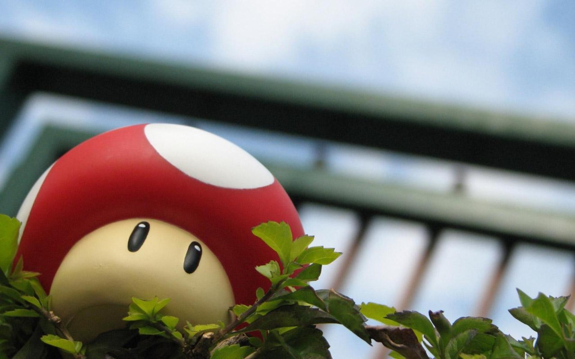 Mario mushroom wallpaper 6271