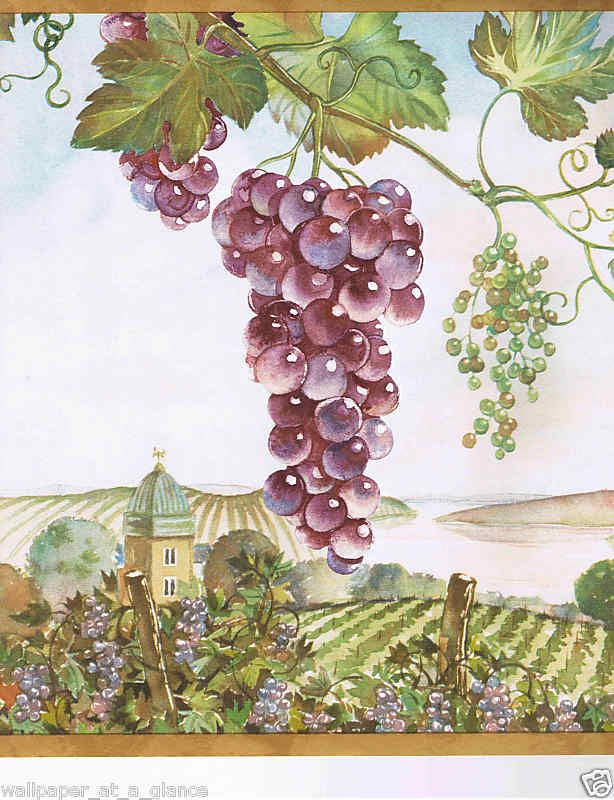Tuscan Scenery And Grapes Wallpaper Border