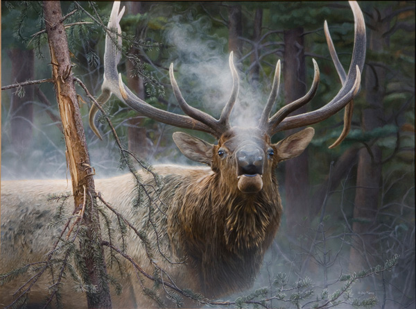 Jay Kemp Close Encounter Bull Elk Acrylic X Southwest