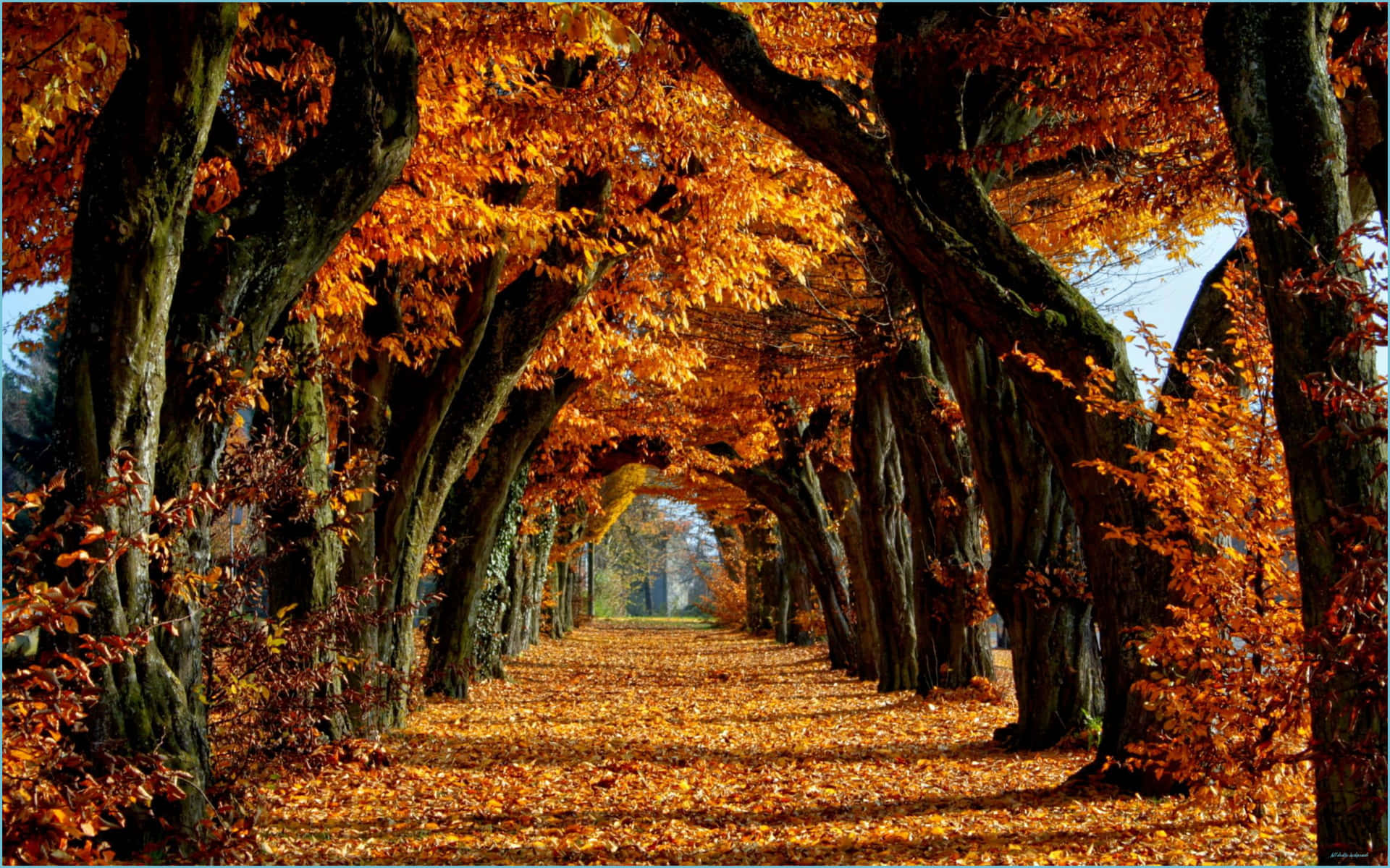 New England Autumn Wallpaper
