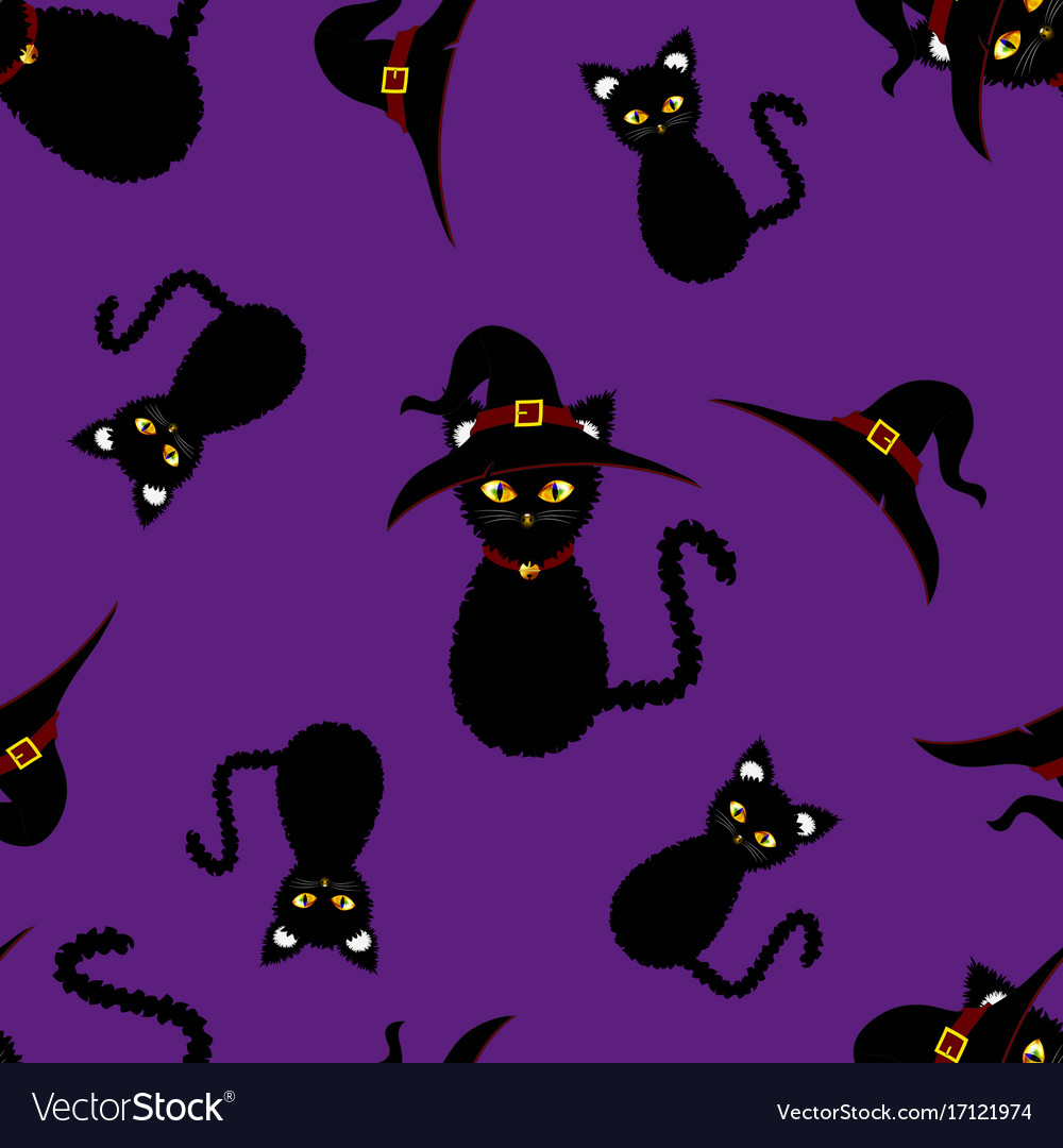 Halloween Background Black Cat Witch Royalty Vector