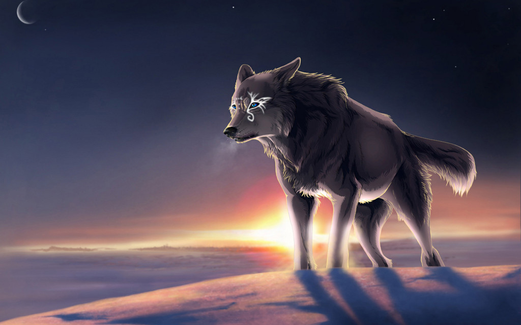 Anime Wolf HD Wallpaper Wide Desktop Animals In