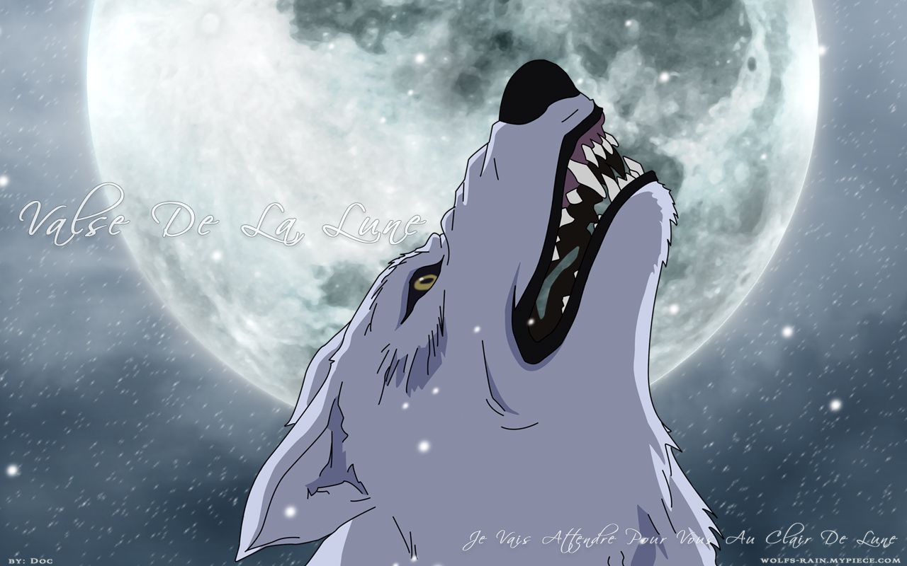 Anime Wolf Anime Wolfs Rain WallpaperBackground 1280 x 800 1280x800