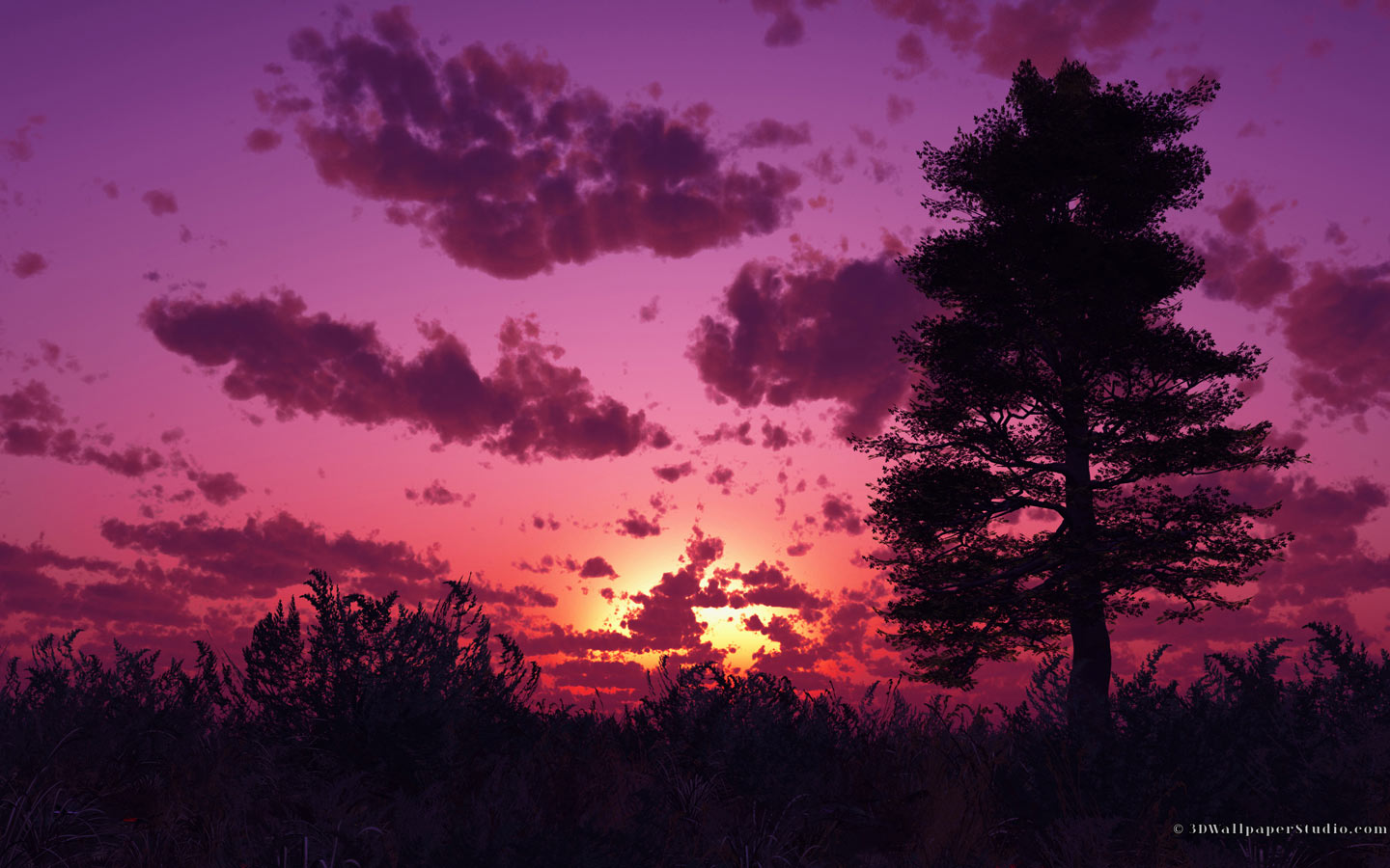 Widescreen Purple Sunset Wallpaper Desktop Nature Pics