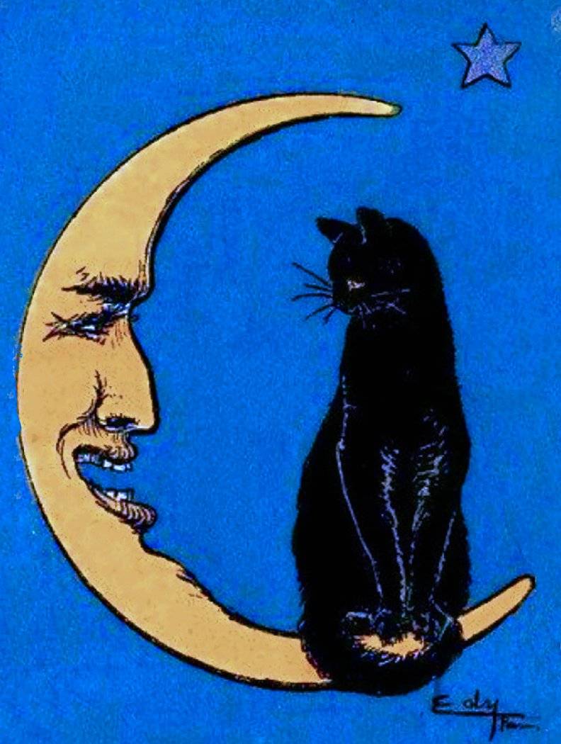 Halloween Black Cat Gold Moon Dark Blue Background Old Art