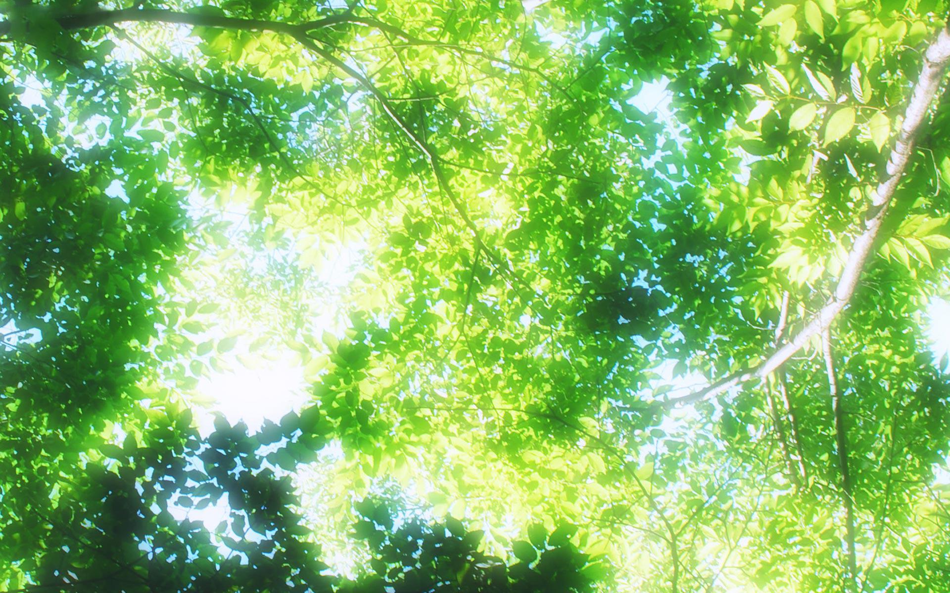Green Anime Wallpaper Group