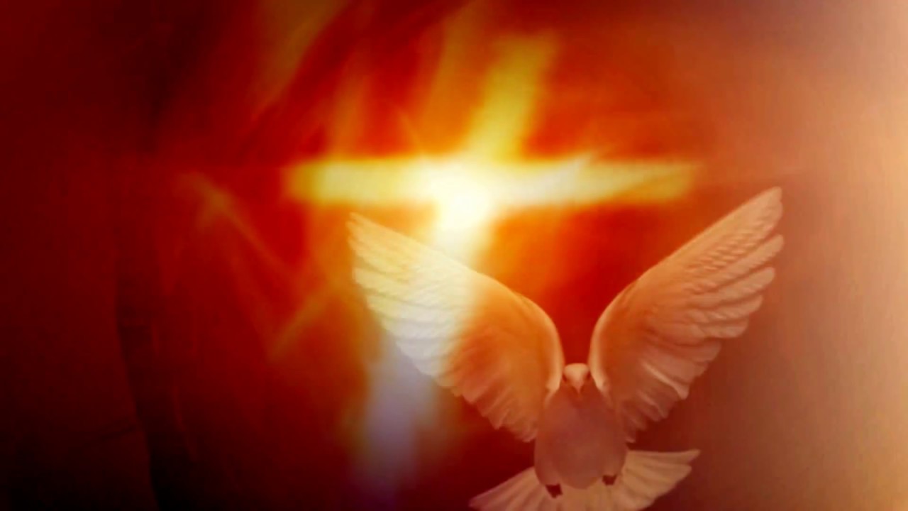 Video Background Holy Spirit In A Form Of Dove 1080p Full HD