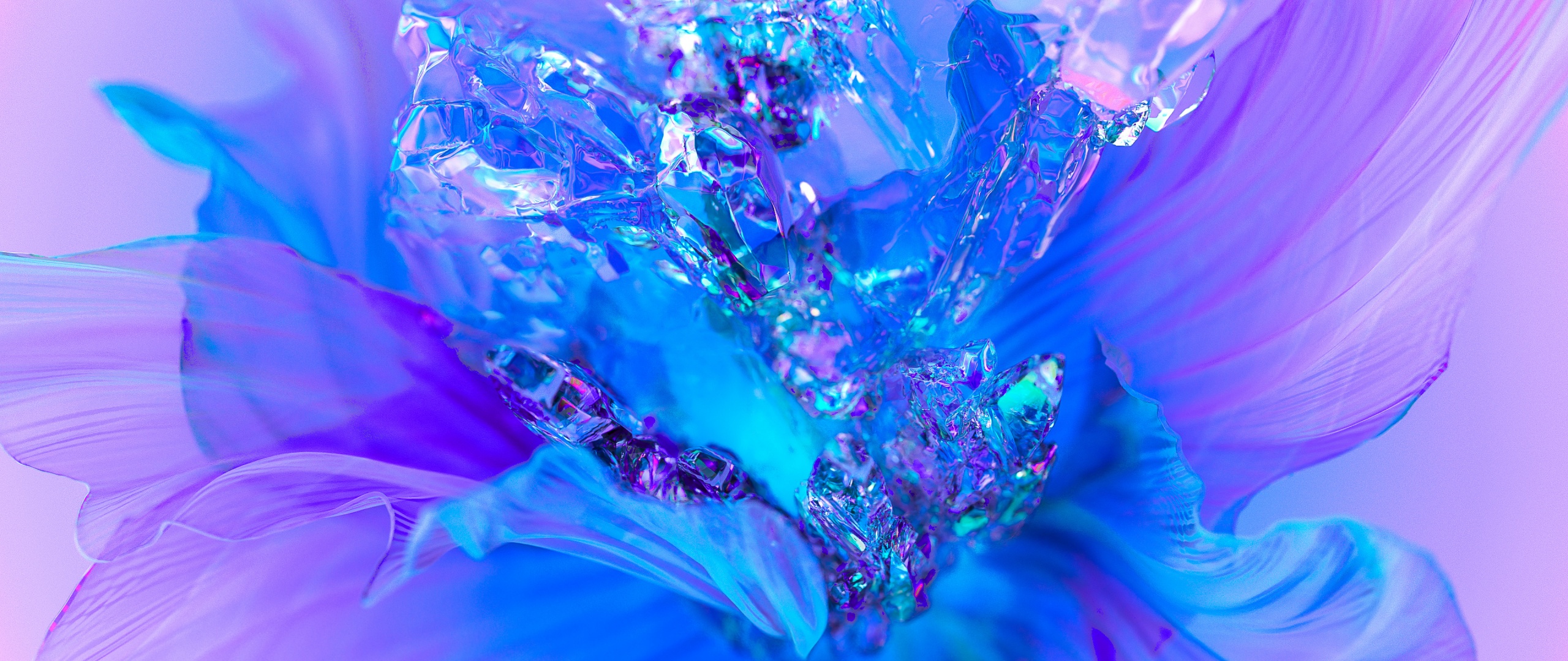 Purple Flower Background For Desktop Wallpaper