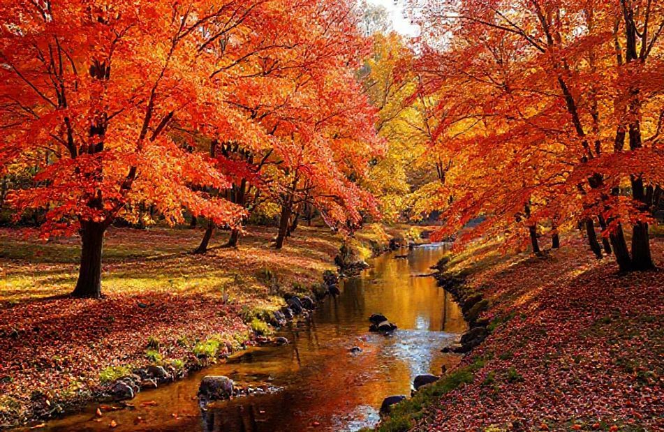 Autumn Wallpaper