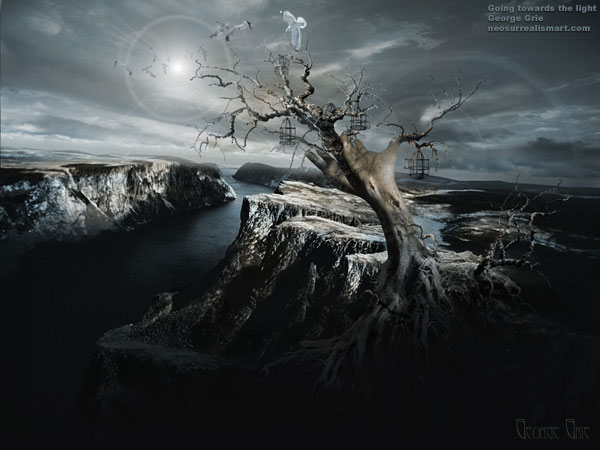 Surreal Modern Dangerous Tree Nature Spiritual Silhouette Light