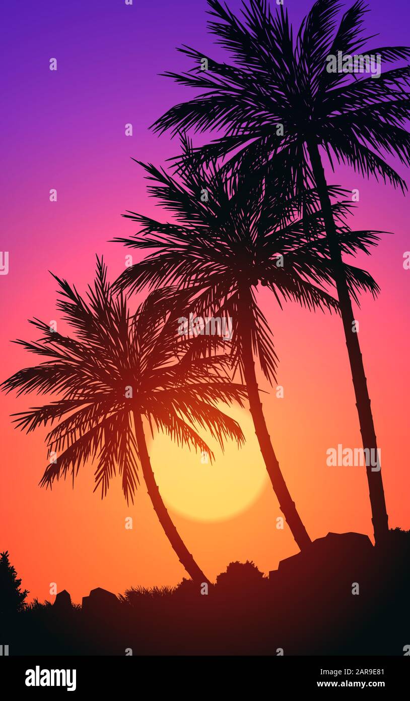 Natural Coconut Trees Mountains Horizon Hills Silhouettes Of