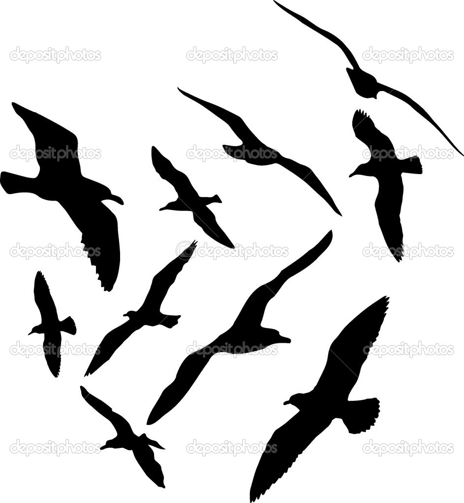 Seagull Vector Silhouettes Illustration Set Of Ten Stock