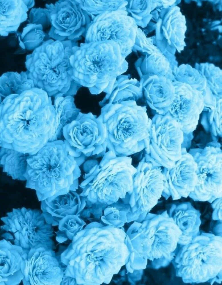 Blue Flowers Aesthetic Wallpaper
