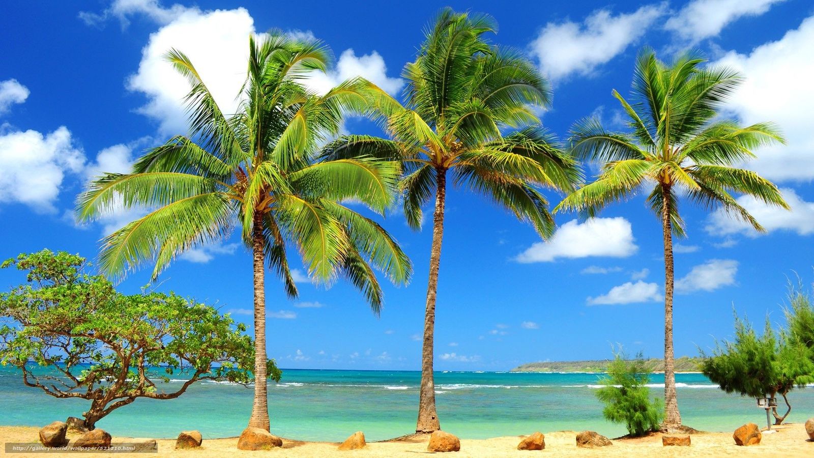 Download wallpaper Hawaii tropics beach sea free desktop wallpaper