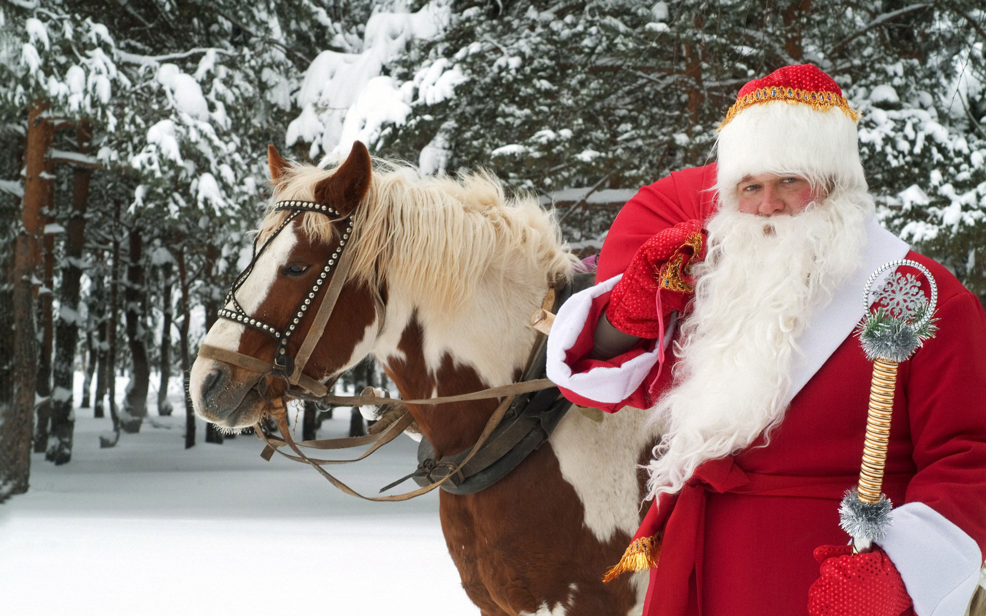 and Clydesdale Wallpapers Santa and Clydesdale Myspace Backgrounds