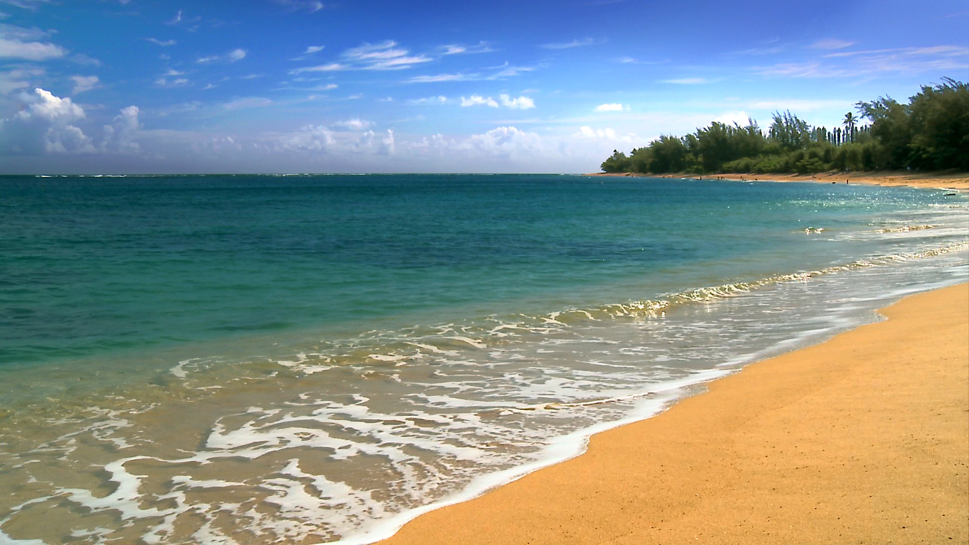 SEE The Most Beautiful Hawaii Beaches Photos from our new HD Video DVD