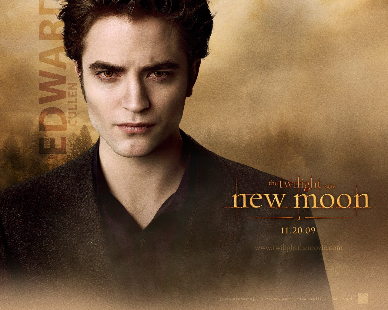 Edward Cullen Twilight New Moon Robert Pettinson