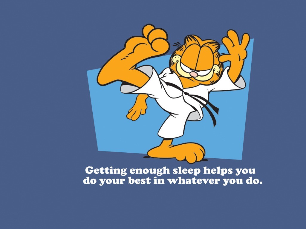 Quotes Garfield Wallpaper Martial Arts