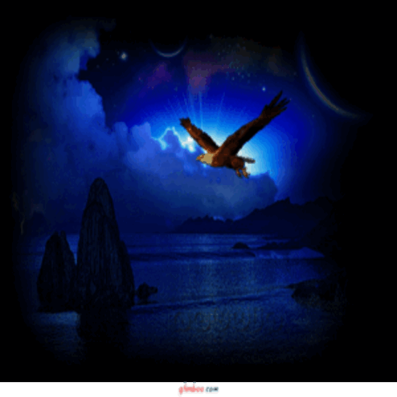 Free soar eagle fly animatedgif phone wallpaper by reddnrowl