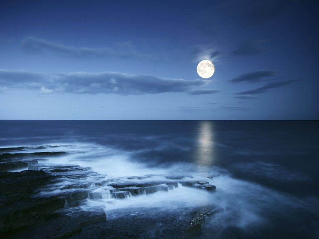 Full Moon Night Beach HD Wallpaper Background Image