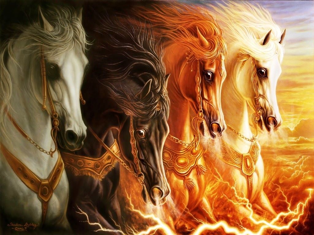 The Wallpaper Backgrounds Wallpaper of Horses
