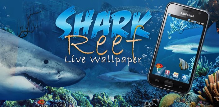 And Up Over In Shark Reef Live Wallpaper You See Sharks