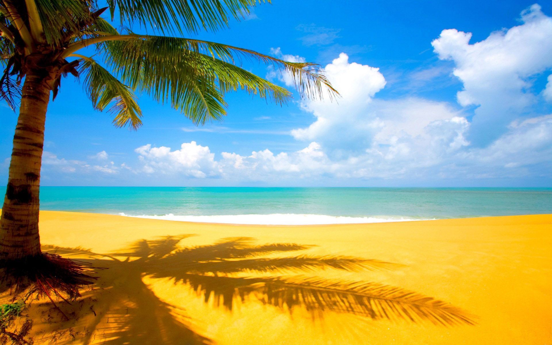 Palm Trees Beach Wallpaper Group