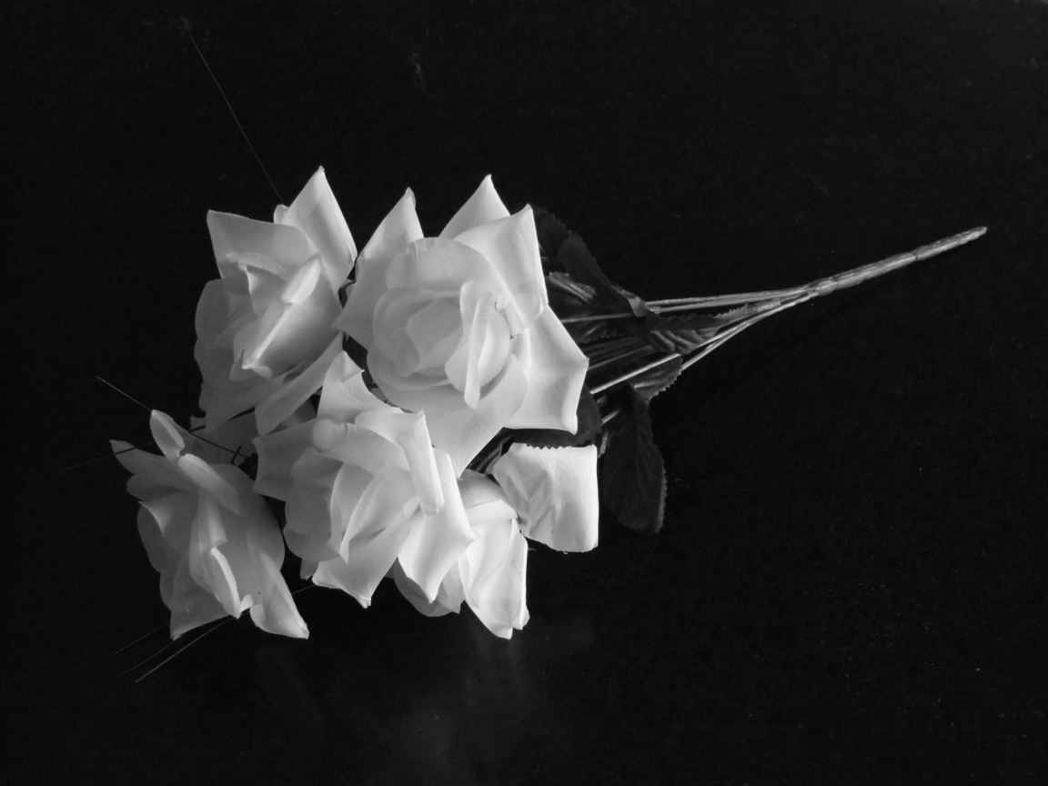 Roses Wallpaper Black And White HD Background