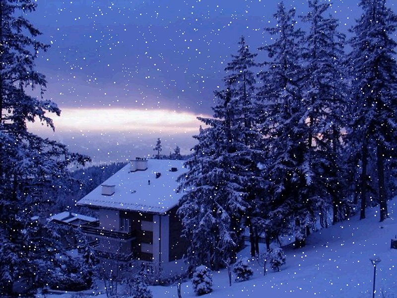 Beautiful Snowfall Real HD Desktop Wallpaper In