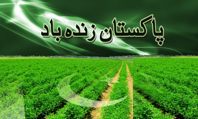 August Pakistan Independence Day HD Wallpaper Most