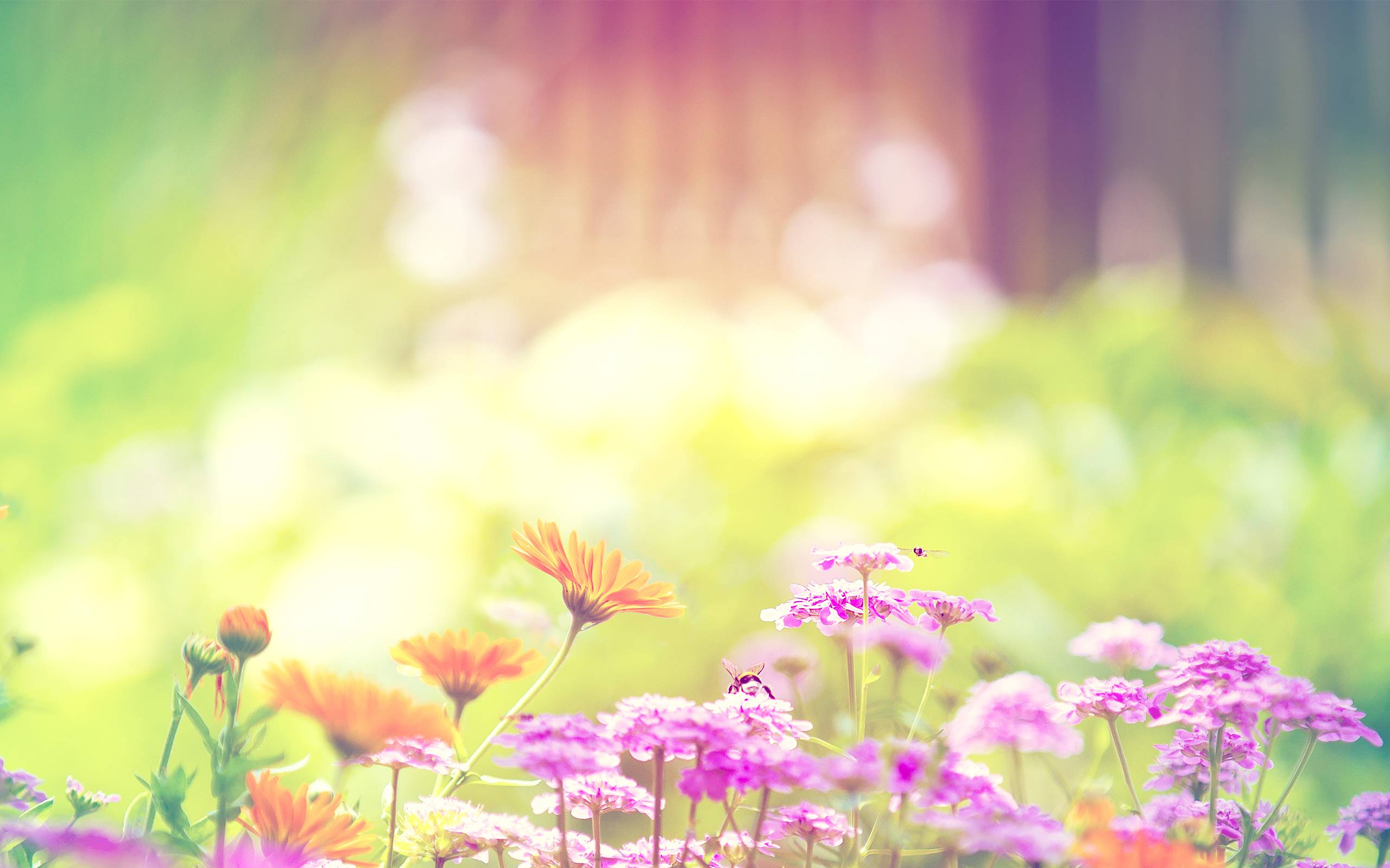 Most Beautiful Spring Wallpaper On