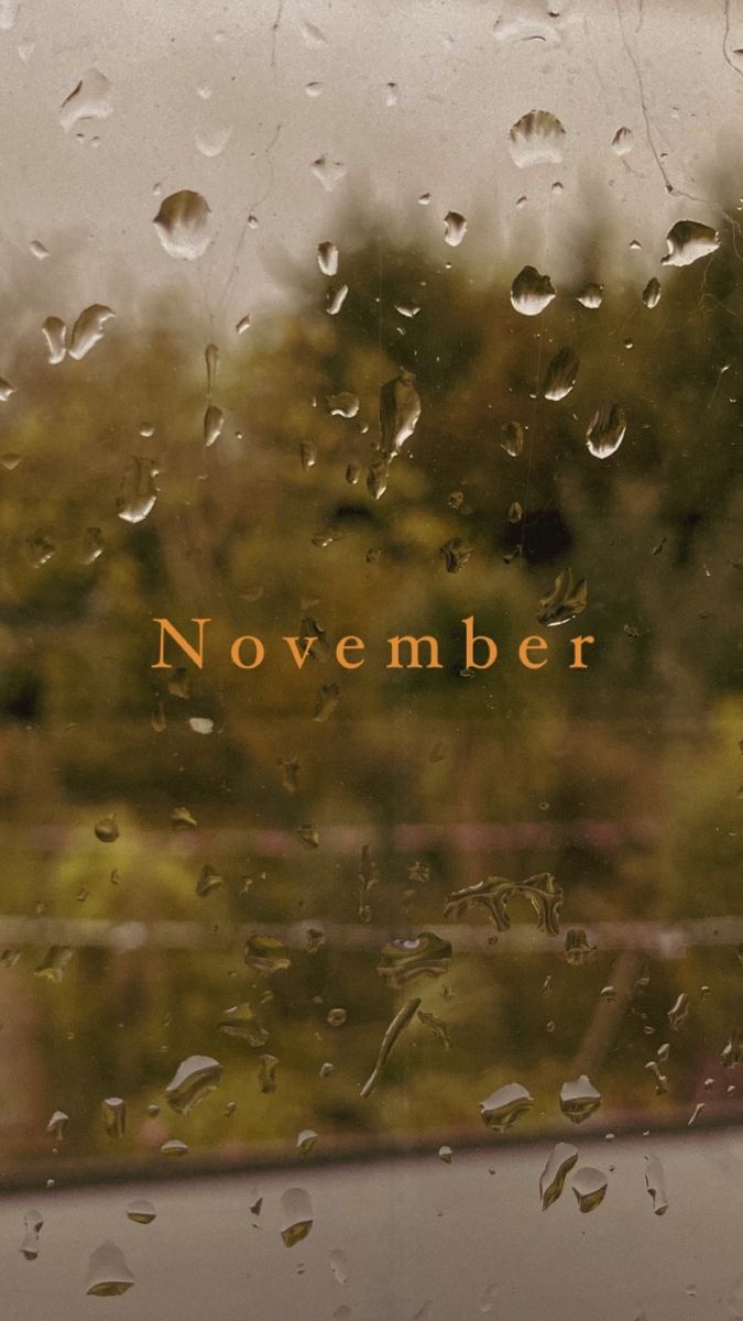 N O V E M B R Wallpaper