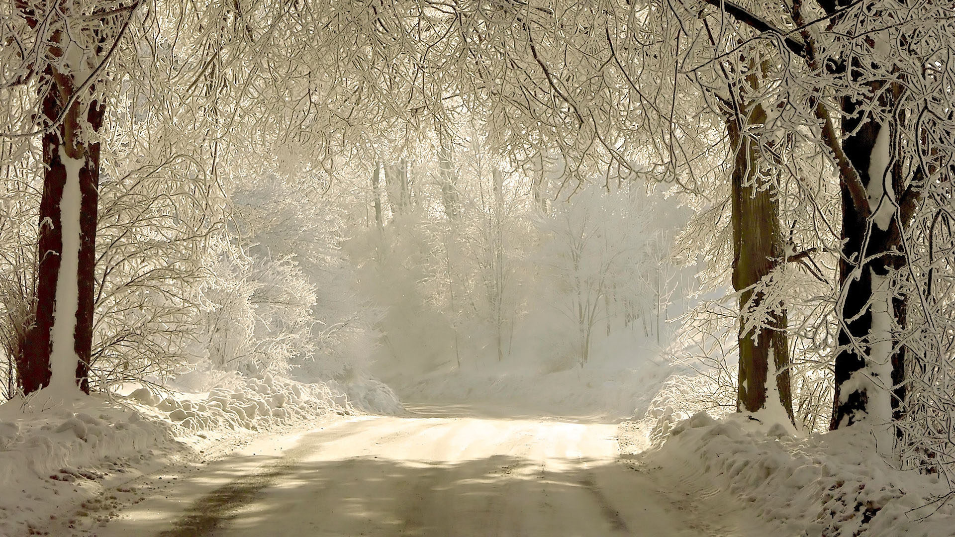 Snowy Forest Road Desktop Pc And Mac Wallpaper