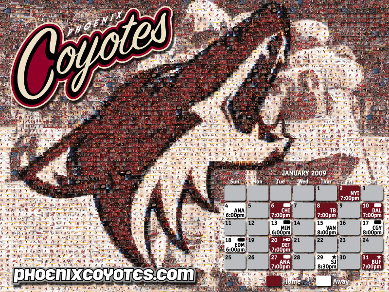 Phoenix Coyotes Wallpaper Arizona Multimedia