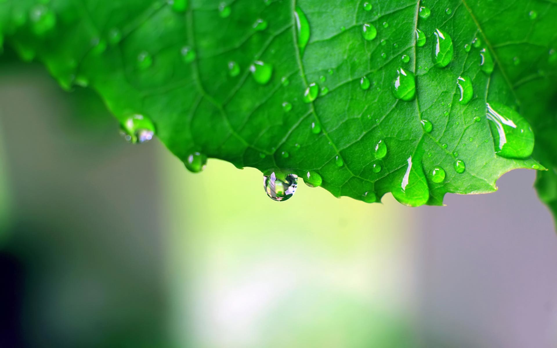 Beautiful Rain Wallpaper
