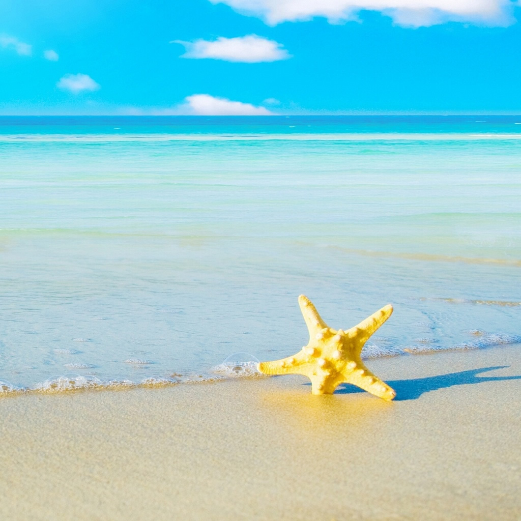 Starfish On The Beach iPad Wallpaper iPhone