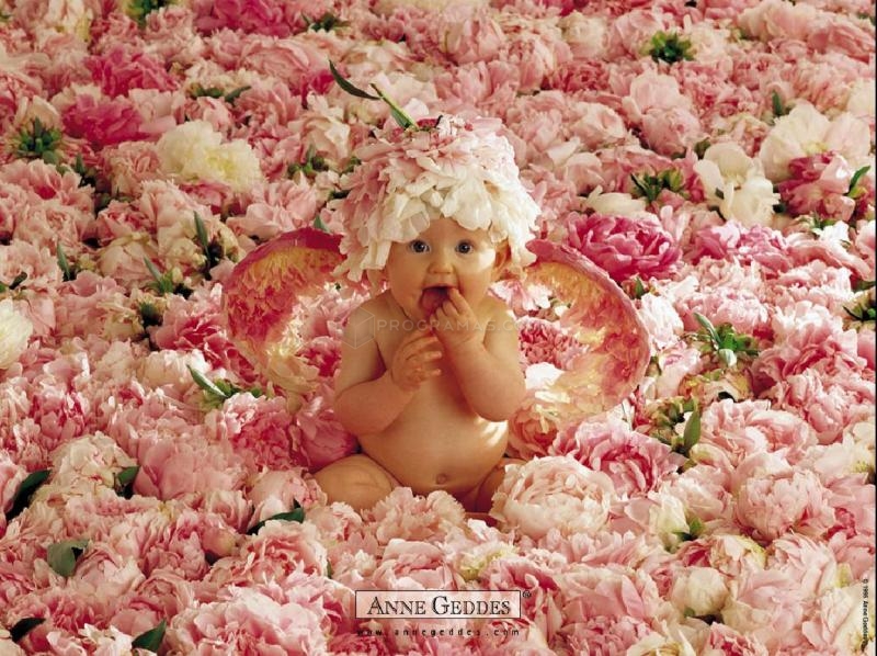Ver Todas Las Im Genes De Cute Babies Screensaver